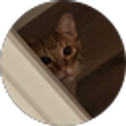 Profile photo of Ryan Abdullah