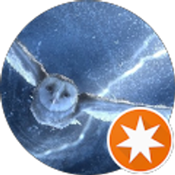 Profile photo of V Zapien