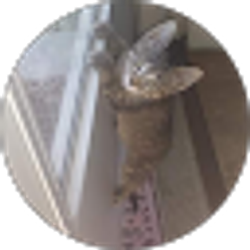 Profile photo of Raechel Baker