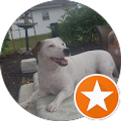 Profile photo of Gary Sabel