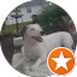 Profile photo of Gary Sabel