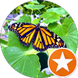 Profile photo of Kelly Shepherd