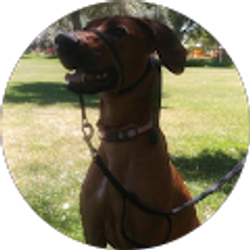 Profile photo of Isaiah Hunt