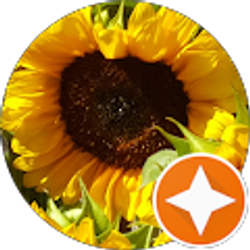 Profile photo of Jane Wolford