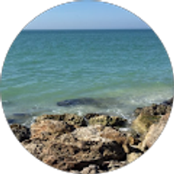 Profile photo of Barbara Vason Scott