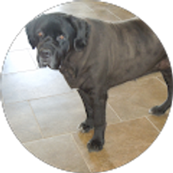 Profile photo of Rusan Ranch House