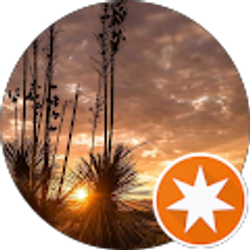 Profile photo of J B (J*Star)