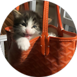 Profile photo of Kai Habitan