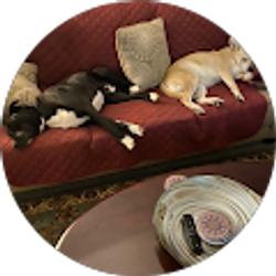 Profile photo of Rita Ervin