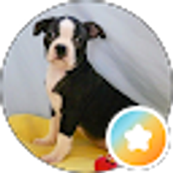 Profile photo of Kirstie Ball