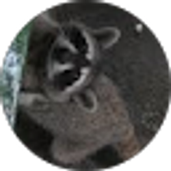 Profile photo of Kim Galloway