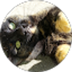 Profile photo of Caroline Bailey