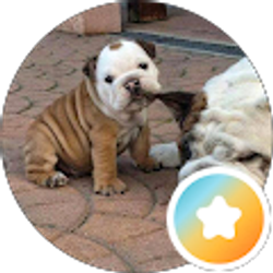 Profile photo of Cin Kin