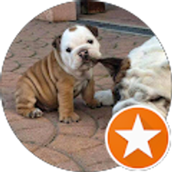 Profile photo of Cin Kin