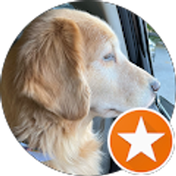 Profile photo of Andrea Mewhinney