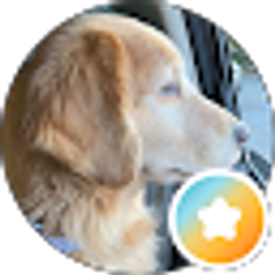 Profile photo of Andrea Mewhinney