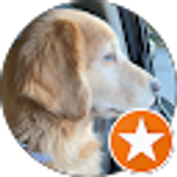 Profile photo of Andrea Mewhinney