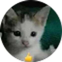 Profile photo of sam