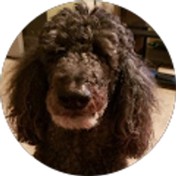 Profile photo of Andrew Core