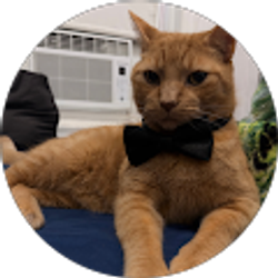 Profile photo of Anthony Zhirzhan