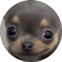 Profile photo of Noemi Mendoza