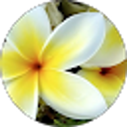 Profile photo of Estelle Marshall