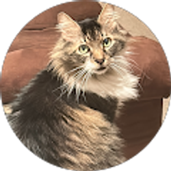 Profile photo of jonathan mcdonald