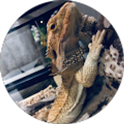 Profile photo of br4nd0n