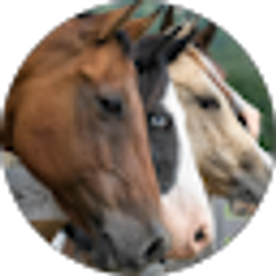 Profile photo of chelsea miller