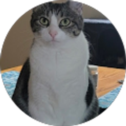 Profile photo of Janet Meaney