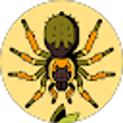 Profile photo of Shannon Satterwhite