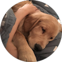 Profile photo of Wenzhi