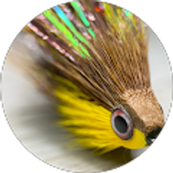 Profile photo of Marcus Bevier