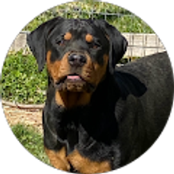 Profile photo of Jessica Holden