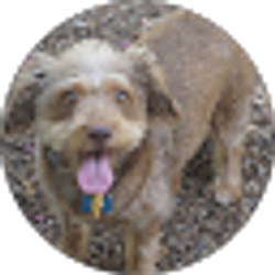 Profile photo of Emilie A