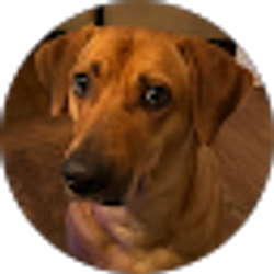 Profile photo of Drew Kirkpatrick