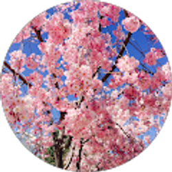 Profile photo of Kennedy Poulton