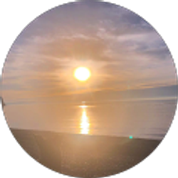 Profile photo of Court McGrew