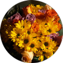 Profile photo of Amy Smith