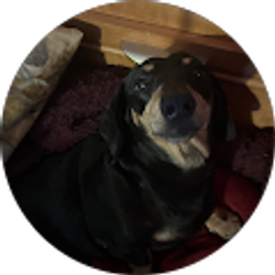 Profile photo of Debbie McMonigle