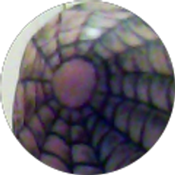 Profile photo of larry davis