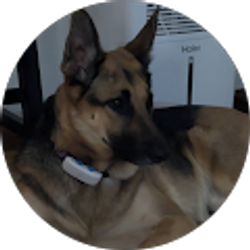 Profile photo of Kristopher Cady