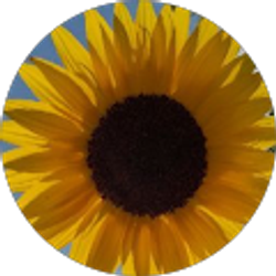 Profile photo of Shelly Cole