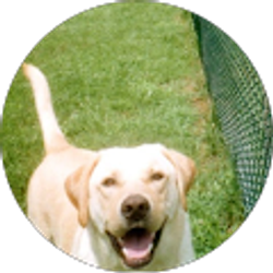 Profile photo of Craig Rorie