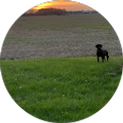 Profile photo of The Sillecks