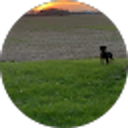 Profile photo of The Sillecks