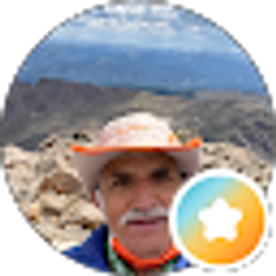 Profile photo of Mohsen Salehi