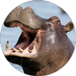 Profile photo of Claire Anderson