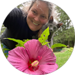 Profile photo of Shannon Smith