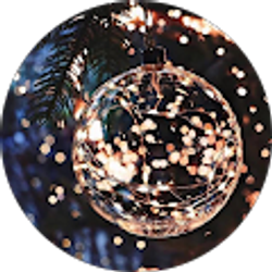 Profile photo of Graci Lewis